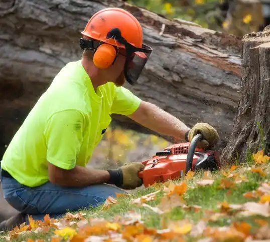 tree services North Las Vegas